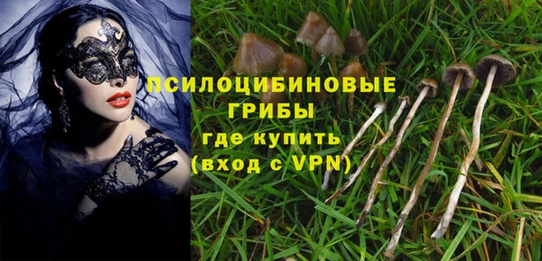 МДПВ Зеленодольск